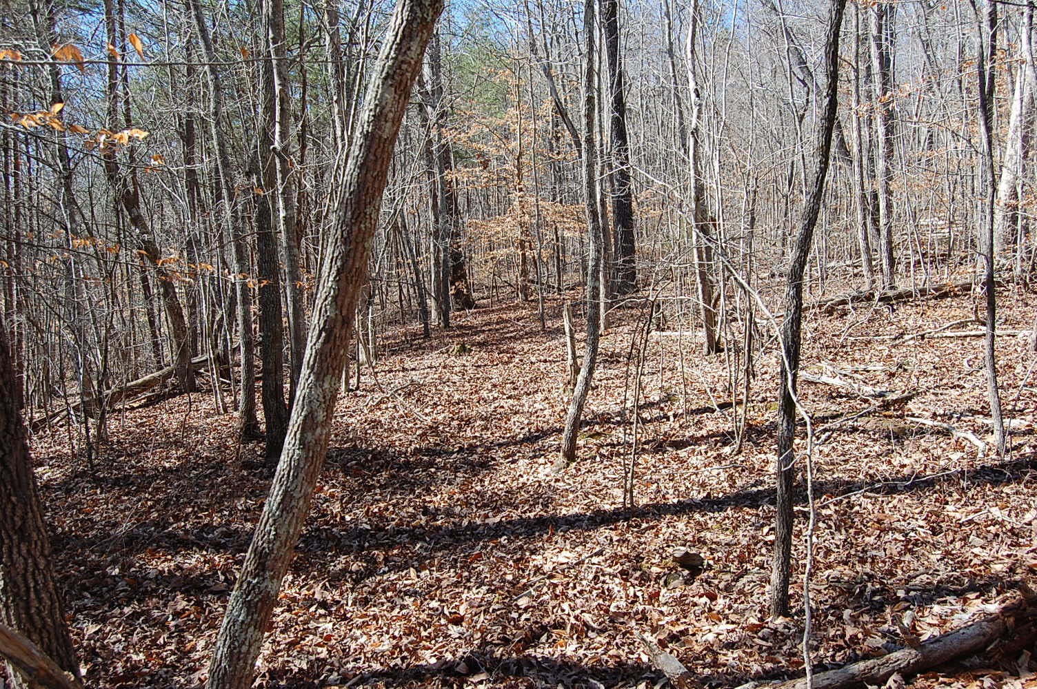 5 Pickett Cross Road Whitwell, TN 37397 - Photo 33 of 36 Gallery Image 33