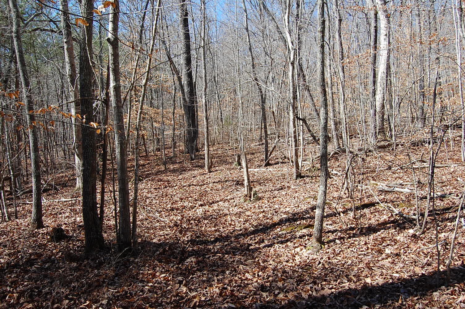 5 Pickett Cross Road Whitwell, TN 37397 - Photo 34 of 36 Gallery Image 34