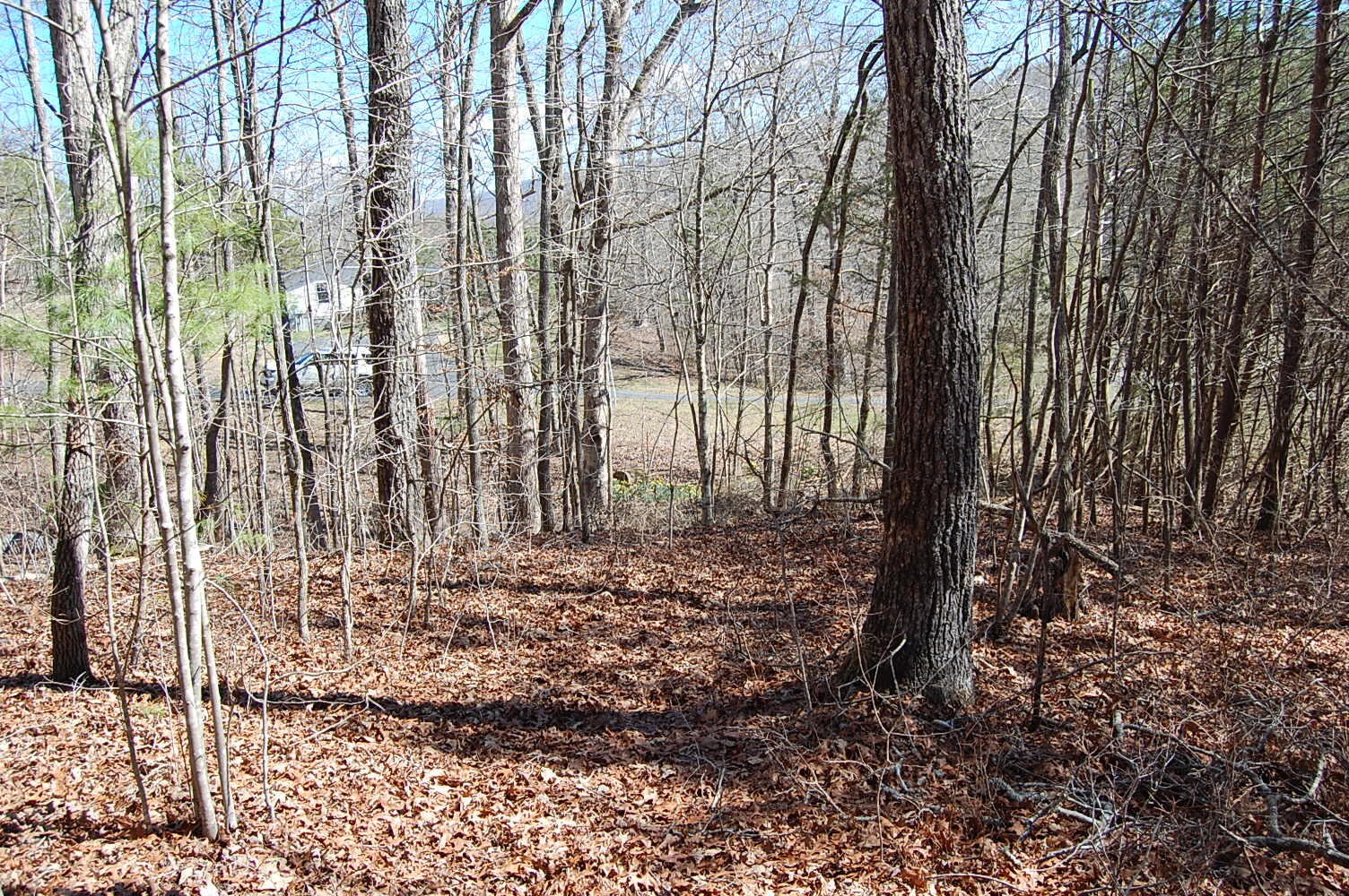 5 Pickett Cross Road Whitwell, TN 37397 - Photo 36 of 36 Gallery Image 36