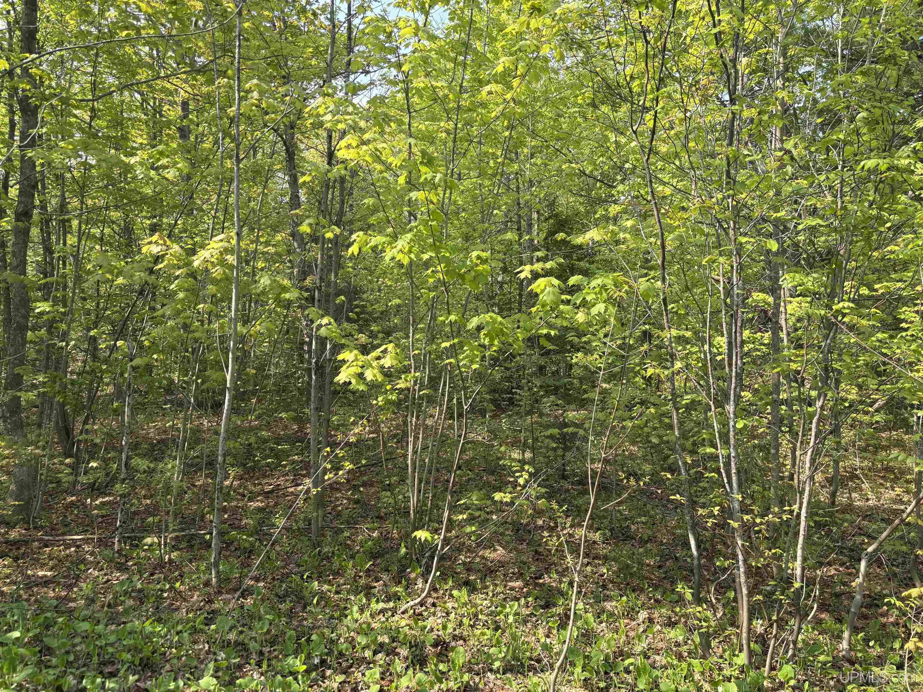 Tbd B Gorton Road Hancock, MI 49930 - Photo 2 of 19
