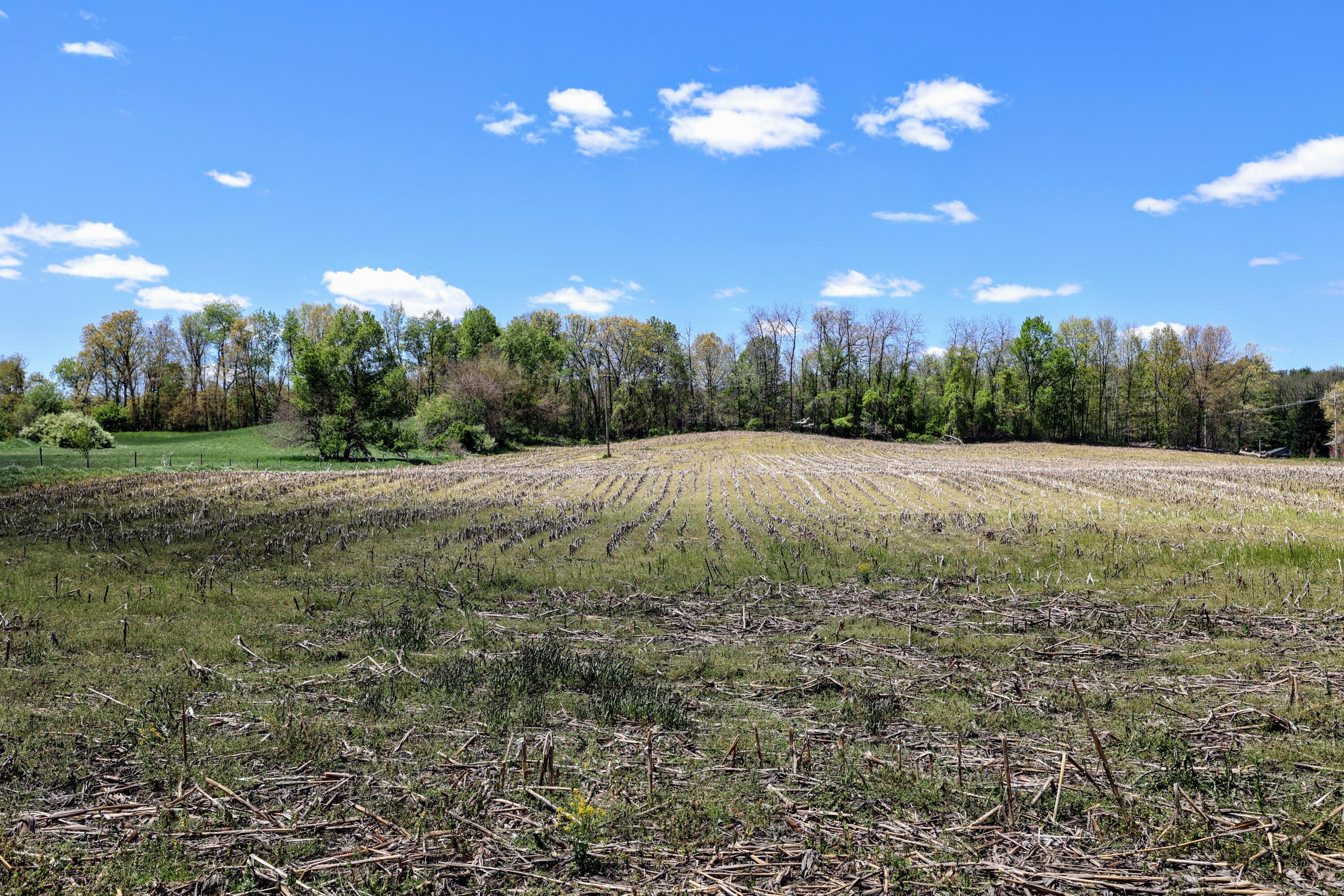 8 1/2 8 1/2 Mile Road Burlington, MI 49029 - Photo 17 of 55 17
