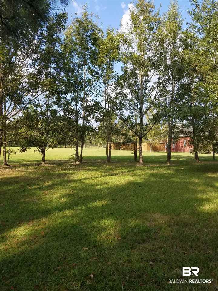 62 South County Road Robertsdale, AL 36567 - Photo 6 of 8