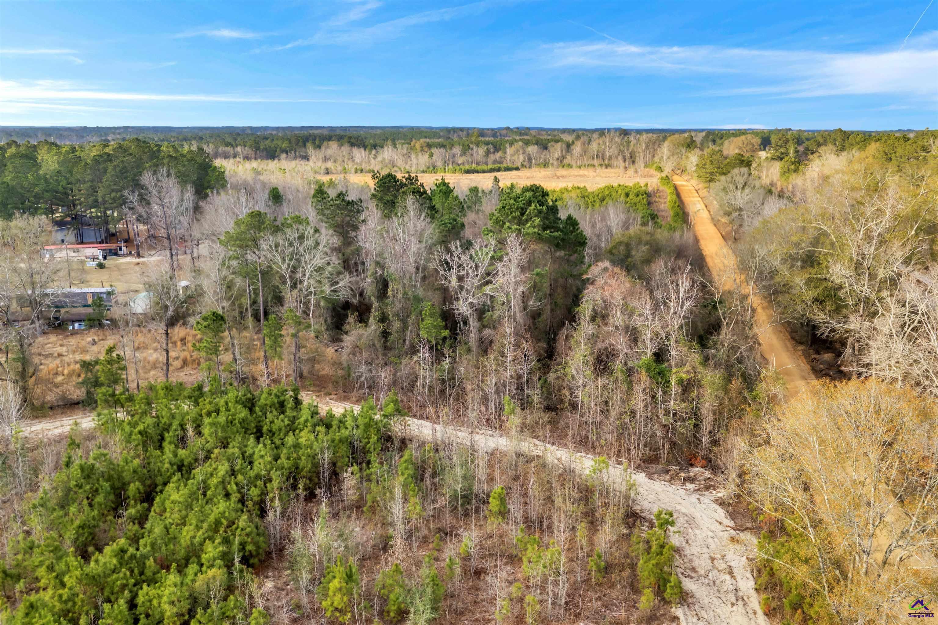 0 Old Empire Road Cochran, GA 31014 - Photo 10 of 13