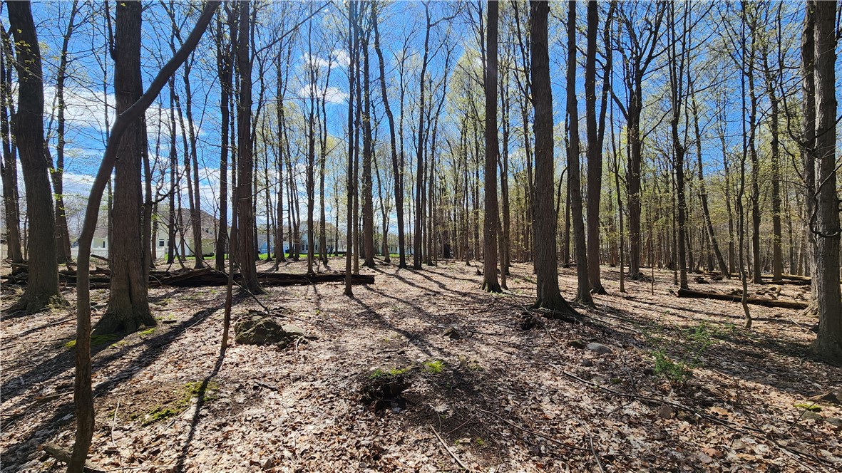 Straub Road Greece, NY 14626 - Photo 14 of 17