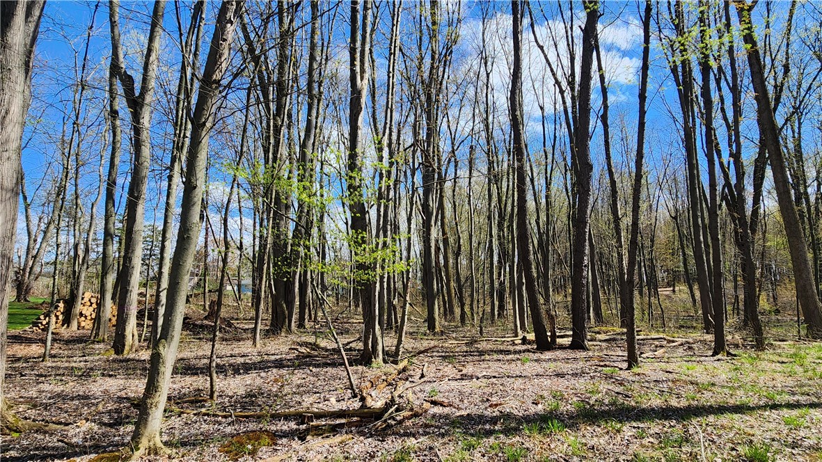 Straub Road Greece, NY 14626 - Photo 4 of 17