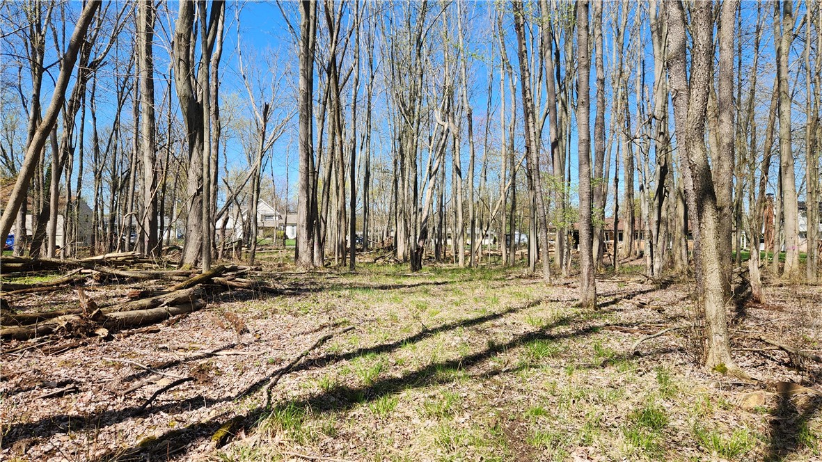 Straub Road Greece, NY 14626 - Photo 6 of 17