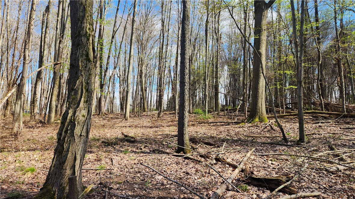 Straub Road Greece, NY 14626 - Photo 7 of 17