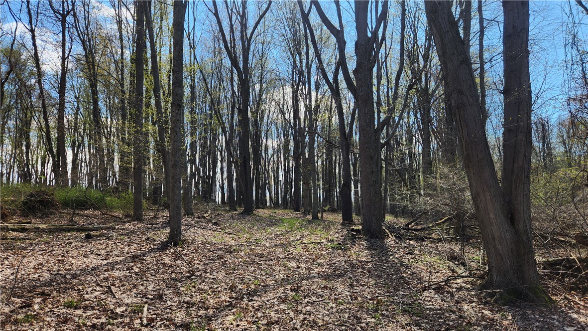 Straub Road Greece, NY 14626 - Photo 8 of 17