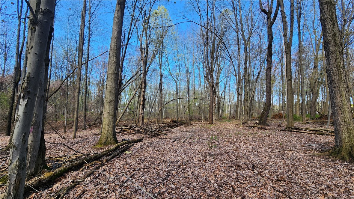 Straub Road Greece, NY 14626 - Photo 10 of 17