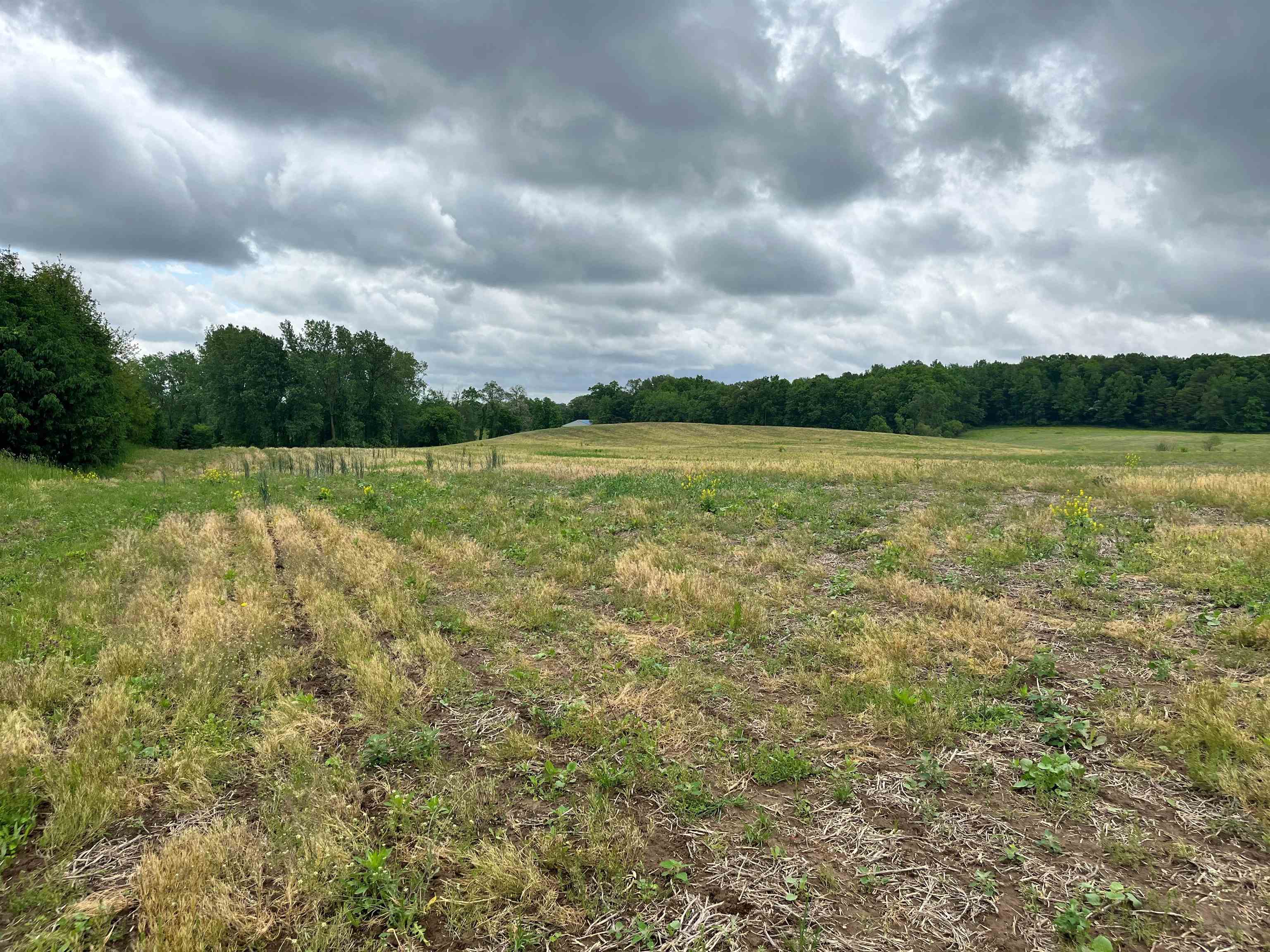 0 West Landis Road Angola, IN 46703 - Photo 1 of 4 Gallery Image 1