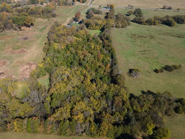 a view of a small yard