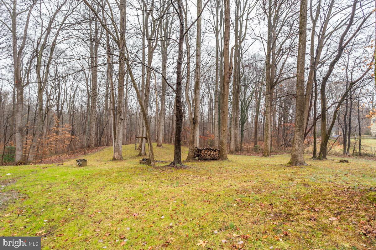 1085 Pemberton Lane Lothian, MD 20711 - Photo 65 of 66