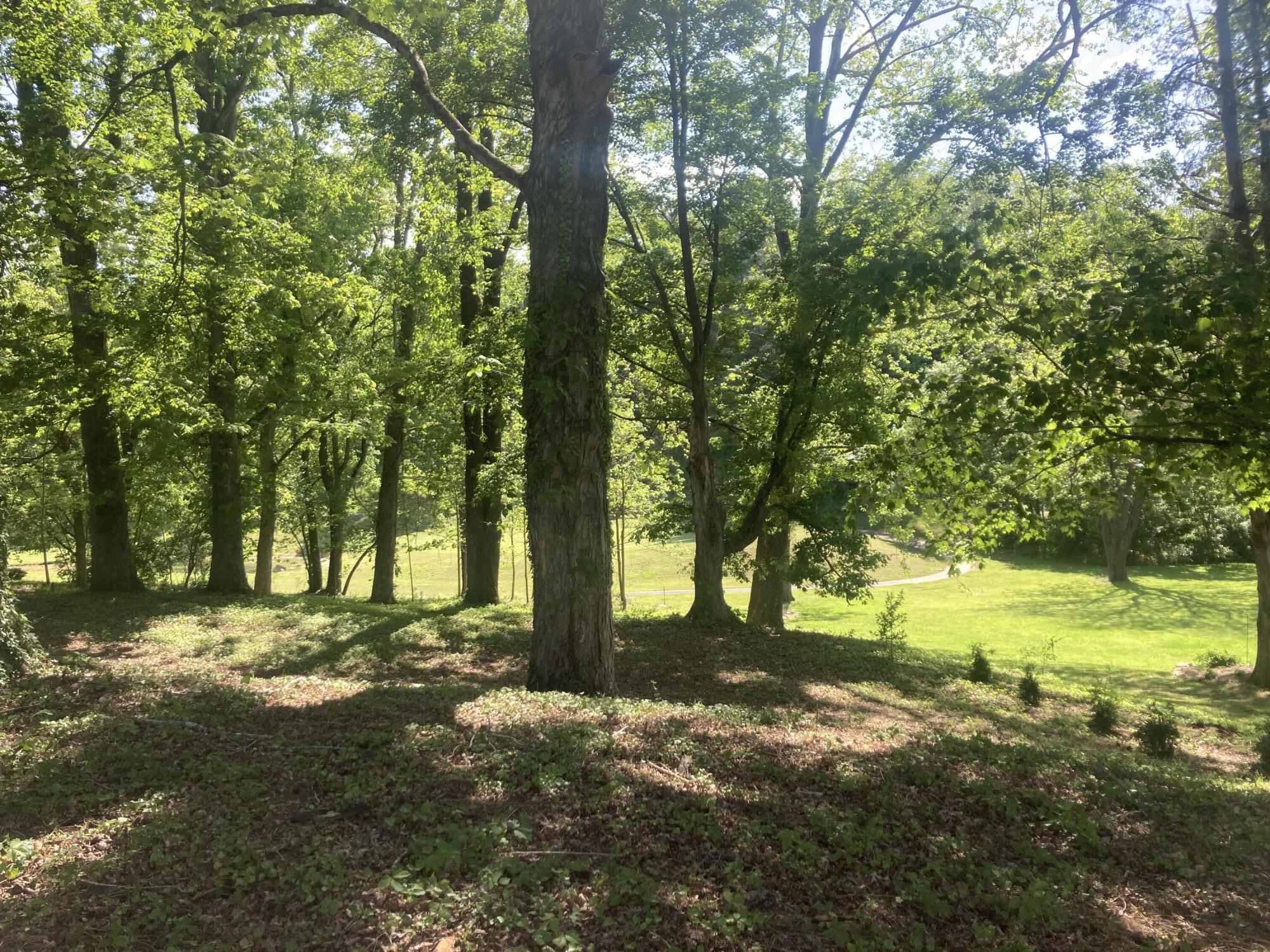 501 Golf Course Drive Elizabethton, TN 37643 - Photo 28 of 29 IMG-1656