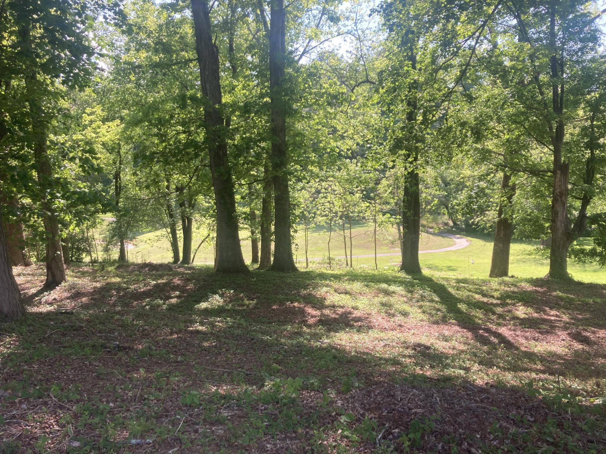 501 Golf Course Drive Elizabethton, TN 37643 - Photo 29 of 29 IMG-1659