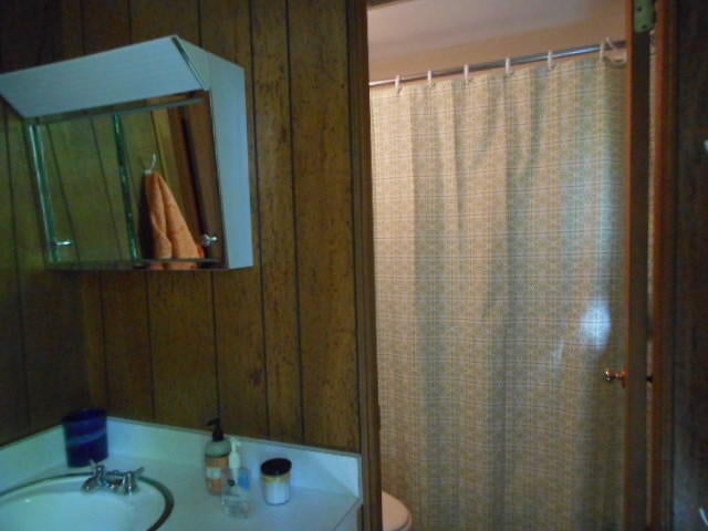 W17991 Long Point Road Germfask, MI 49836 - Photo 54 of 66 Gallery Image 54