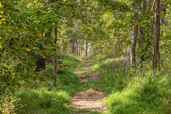 $295,000 | 6 Sturgeon Creek Road, Cedar Hill, TN 37032