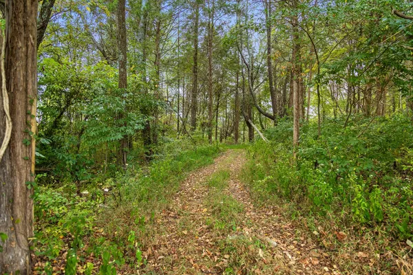 $295,000 | 6 Sturgeon Creek Road, Cedar Hill, TN 37032