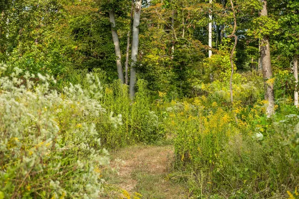 $295,000 | 6 Sturgeon Creek Road, Cedar Hill, TN 37032