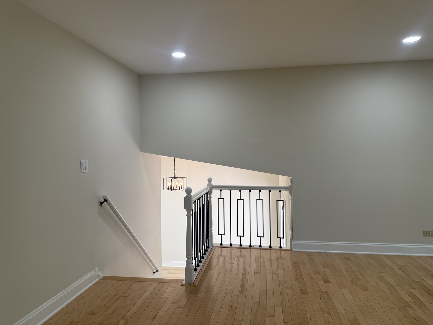 425 Carriage Hill Road Naperville, IL 60565 - Photo 7 of 42