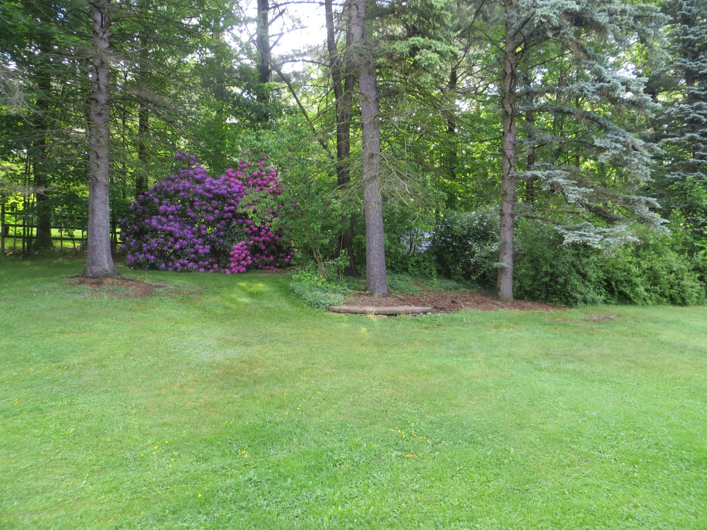 700 South Abington Road Clarks Summit, PA 18411 - Photo 34 of 41 Gallery Image 34
