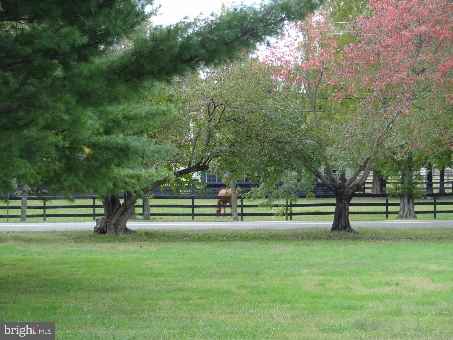 96 Fostertown Road Lumberton, NJ 08048 - Photo 20 of 22