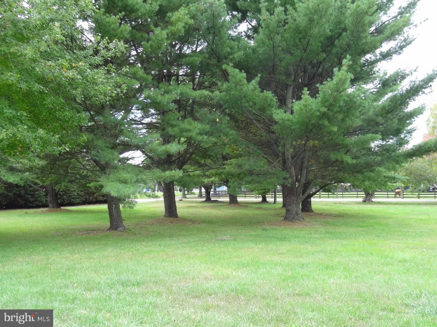 96 Fostertown Road Lumberton, NJ 08048 - Photo 22 of 22