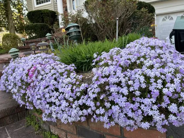 $998,000 | 15 Meleny Road, Locust Valley, NY 11560