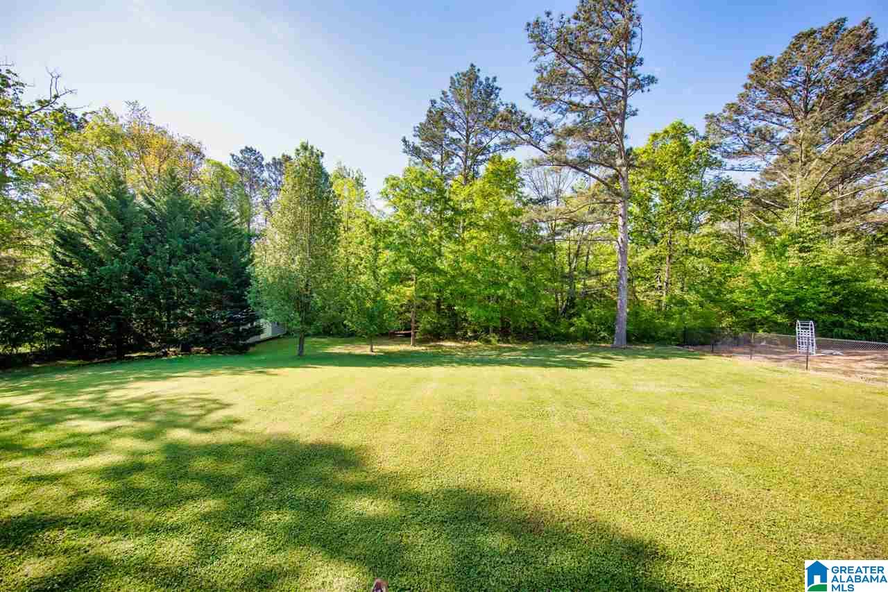 510 Henderson Road Odenville, AL 35120 - Photo 3 of 38