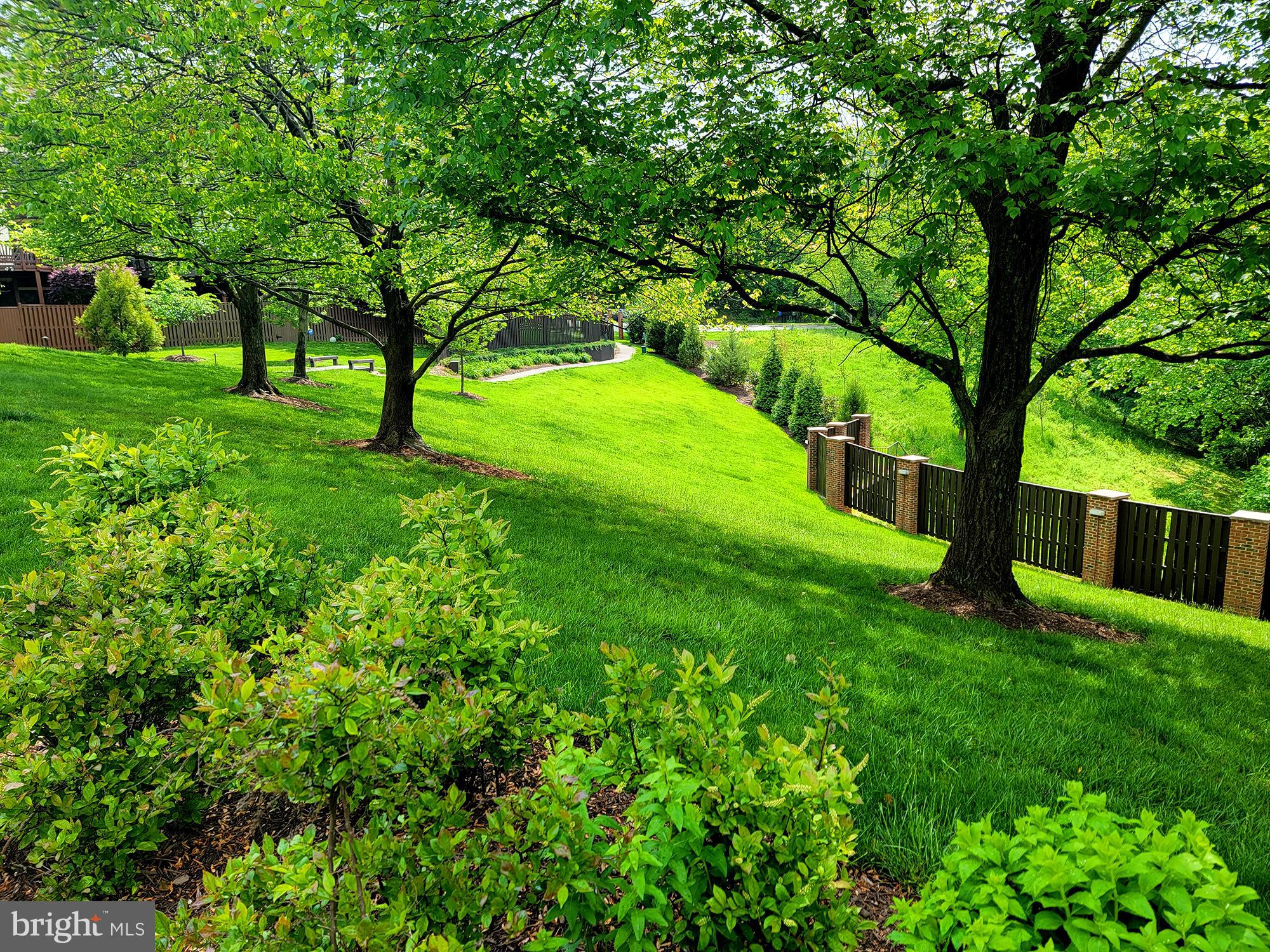 6315 Manchester Way Alexandria, VA 22312 - Photo 45 of 51 a view of an trees in a yard