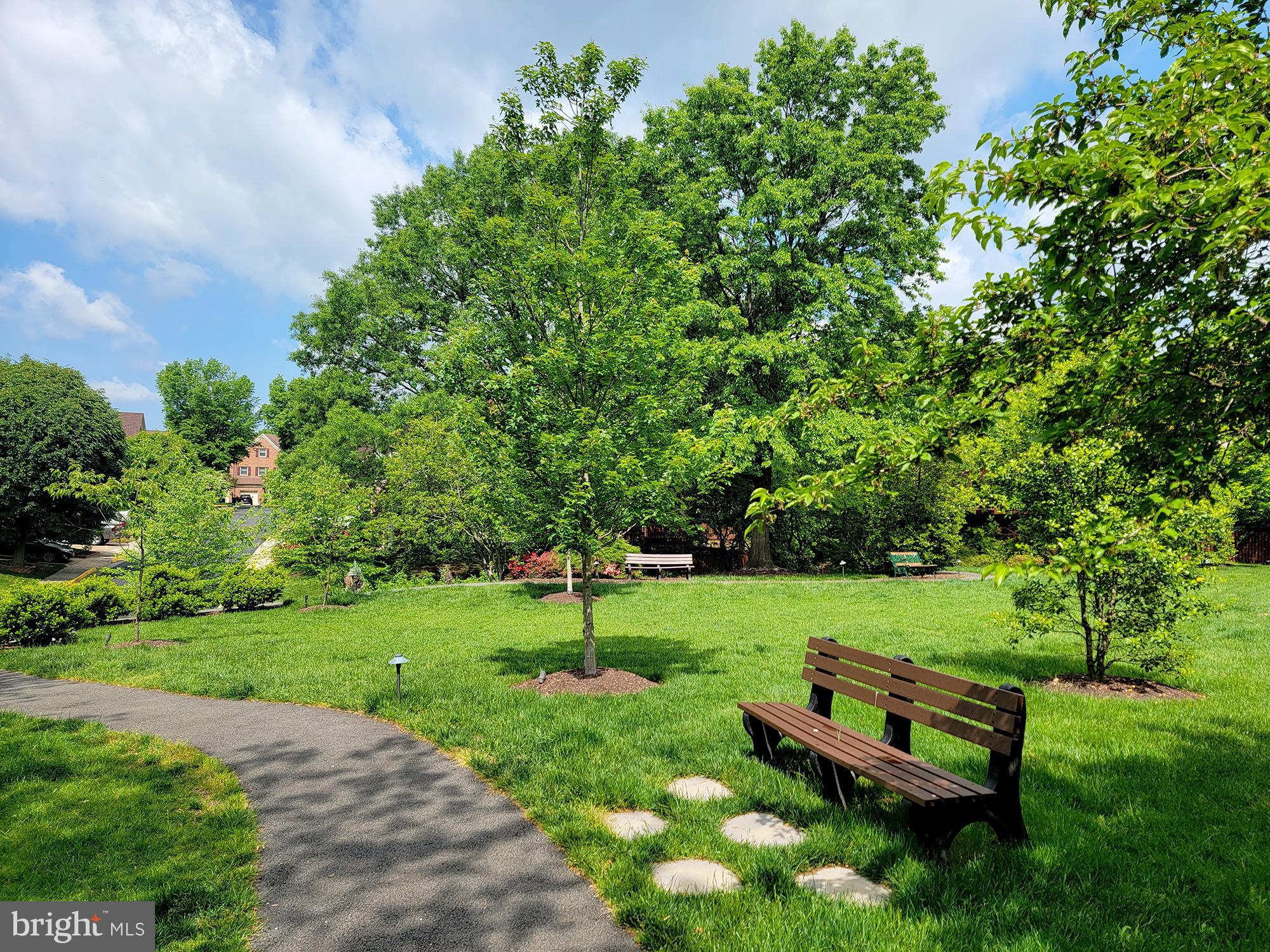 6315 Manchester Way Alexandria, VA 22312 - Photo 46 of 51 a view of a park with large trees