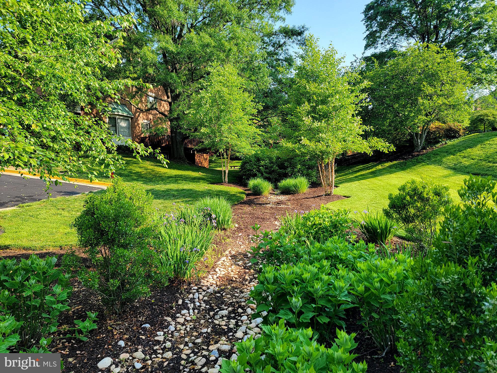6315 Manchester Way Alexandria, VA 22312 - Photo 47 of 51 a view of a park with large trees