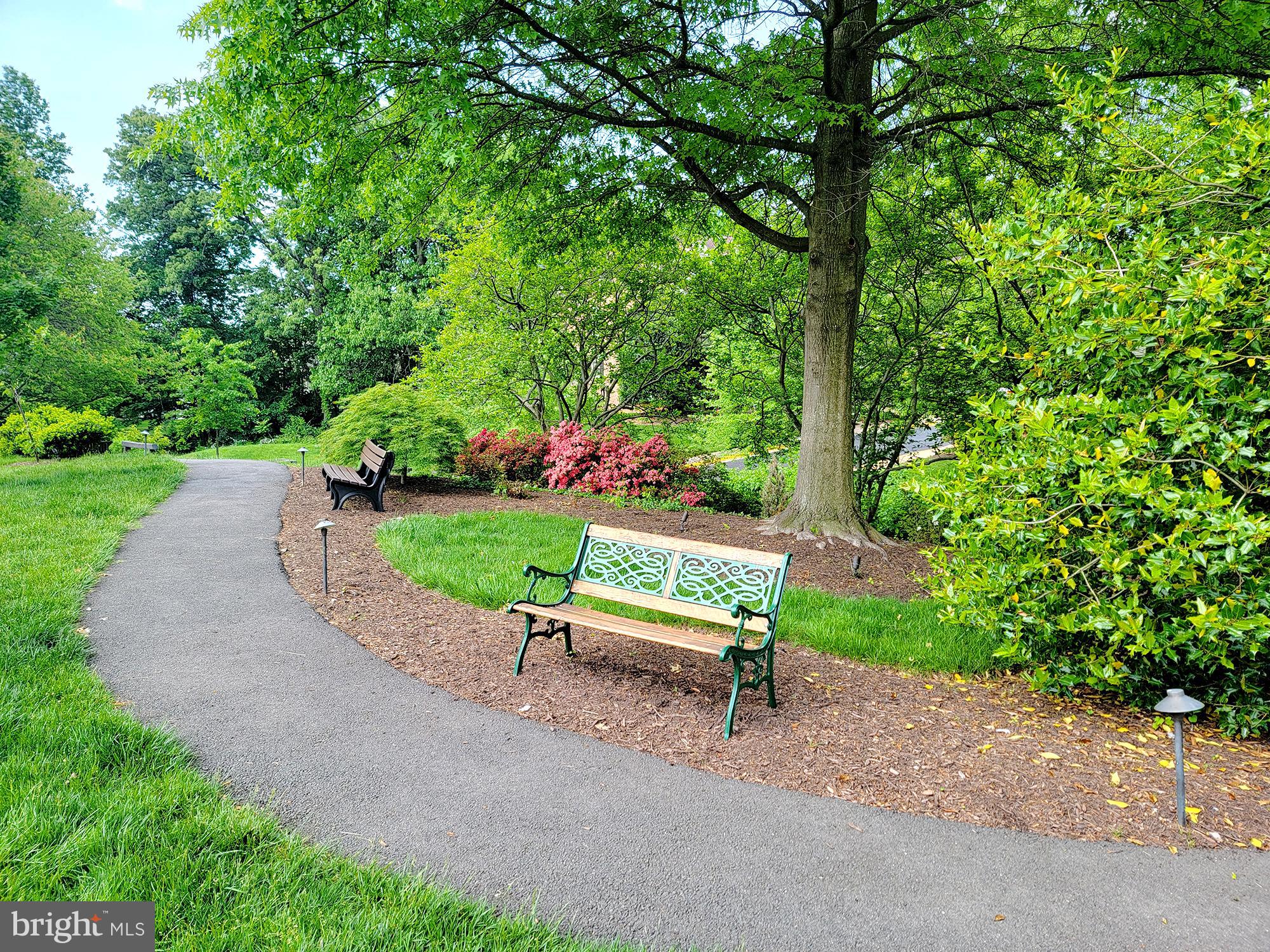 6315 Manchester Way Alexandria, VA 22312 - Photo 48 of 51 a park view with a bench and trees