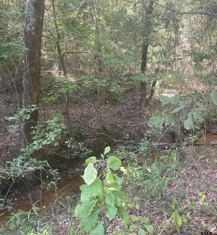 a view of yard with outdoor seating
