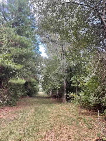 $570,000 | 1000 County Road 3211, Jacksonville, TX 75766