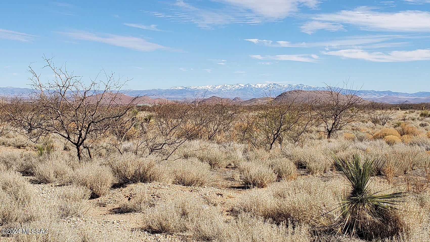 2-acres South Middlemarch Road, Unit 10 Pearce, AZ 85625 - Photo 8 of 11