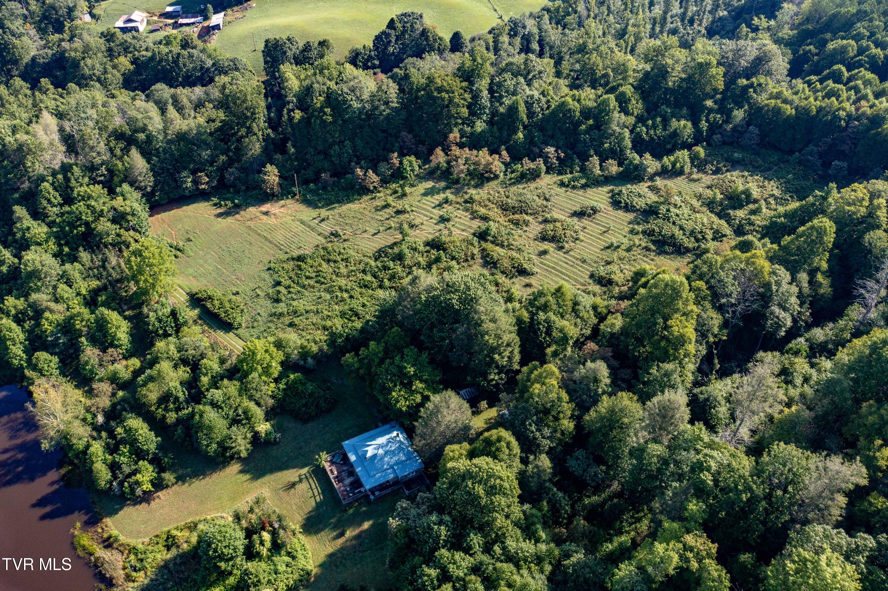 306 Bear Branch Road Roan Mountain, TN 37687 - Photo 20 of 53 306 Bear Branch Road (20 of 93)