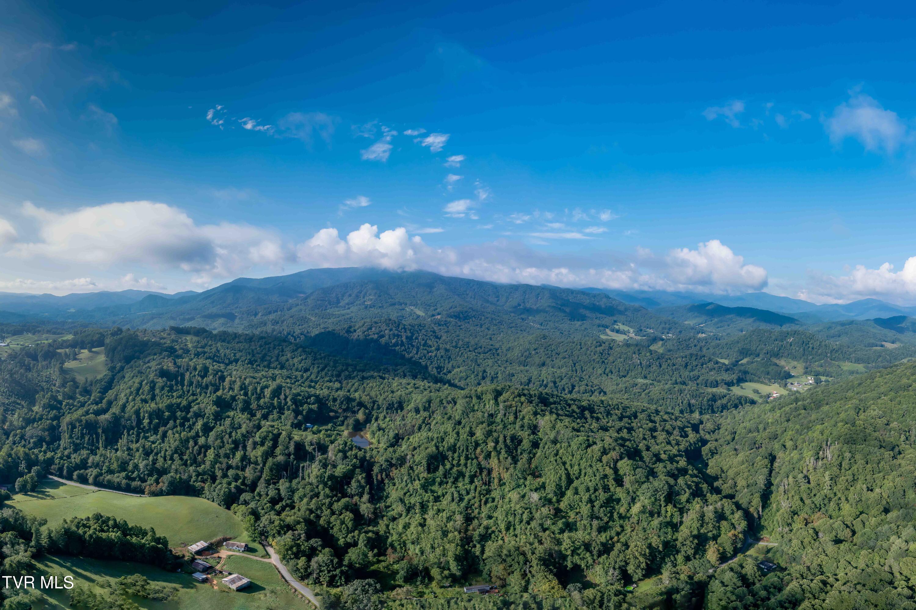 306 Bear Branch Road Roan Mountain, TN 37687 - Photo 2 of 53 306 Bear Branch Road (2 of 93)