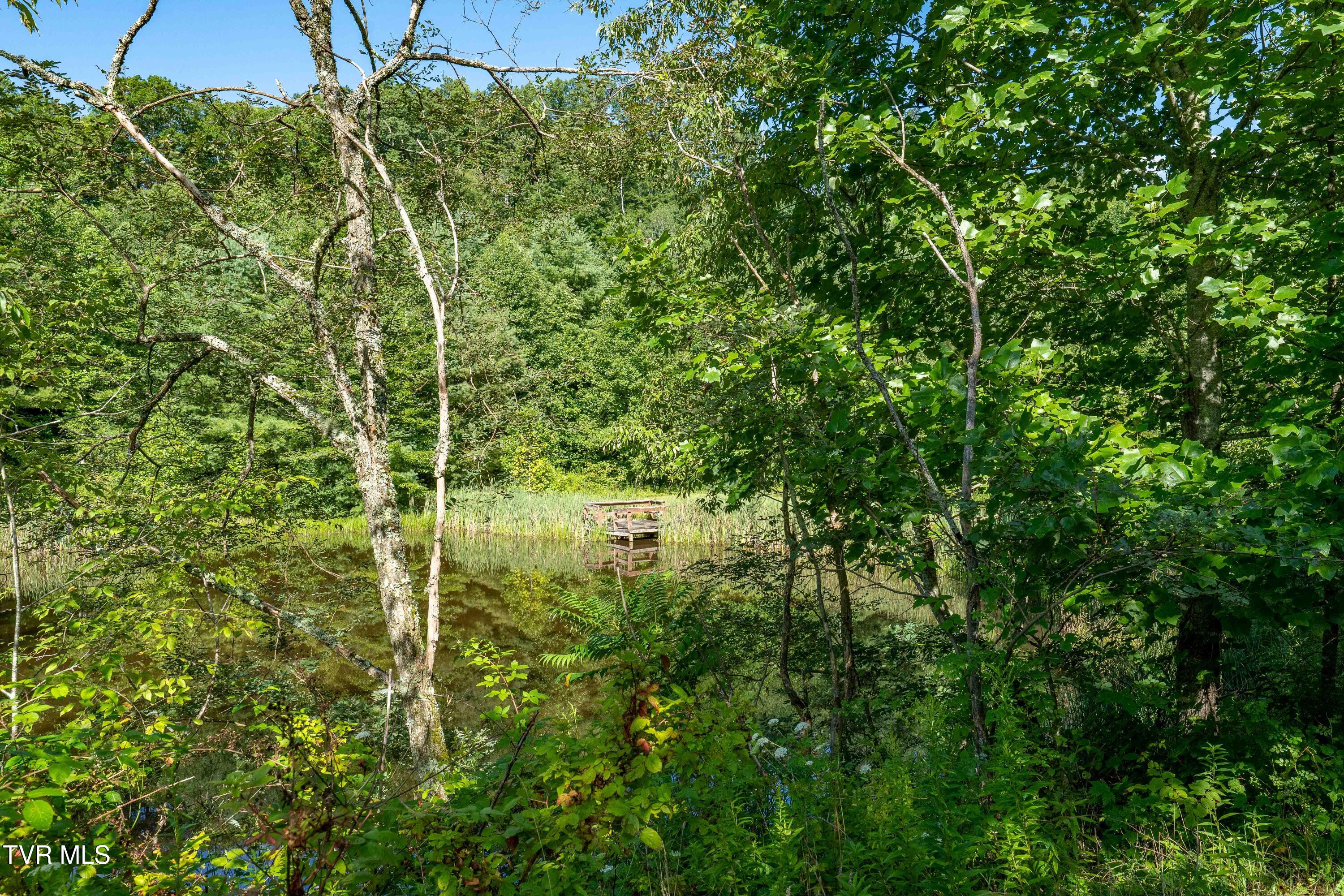 306 Bear Branch Road Roan Mountain, TN 37687 - Photo 21 of 53 306 Bear Branch Road (69 of 93)