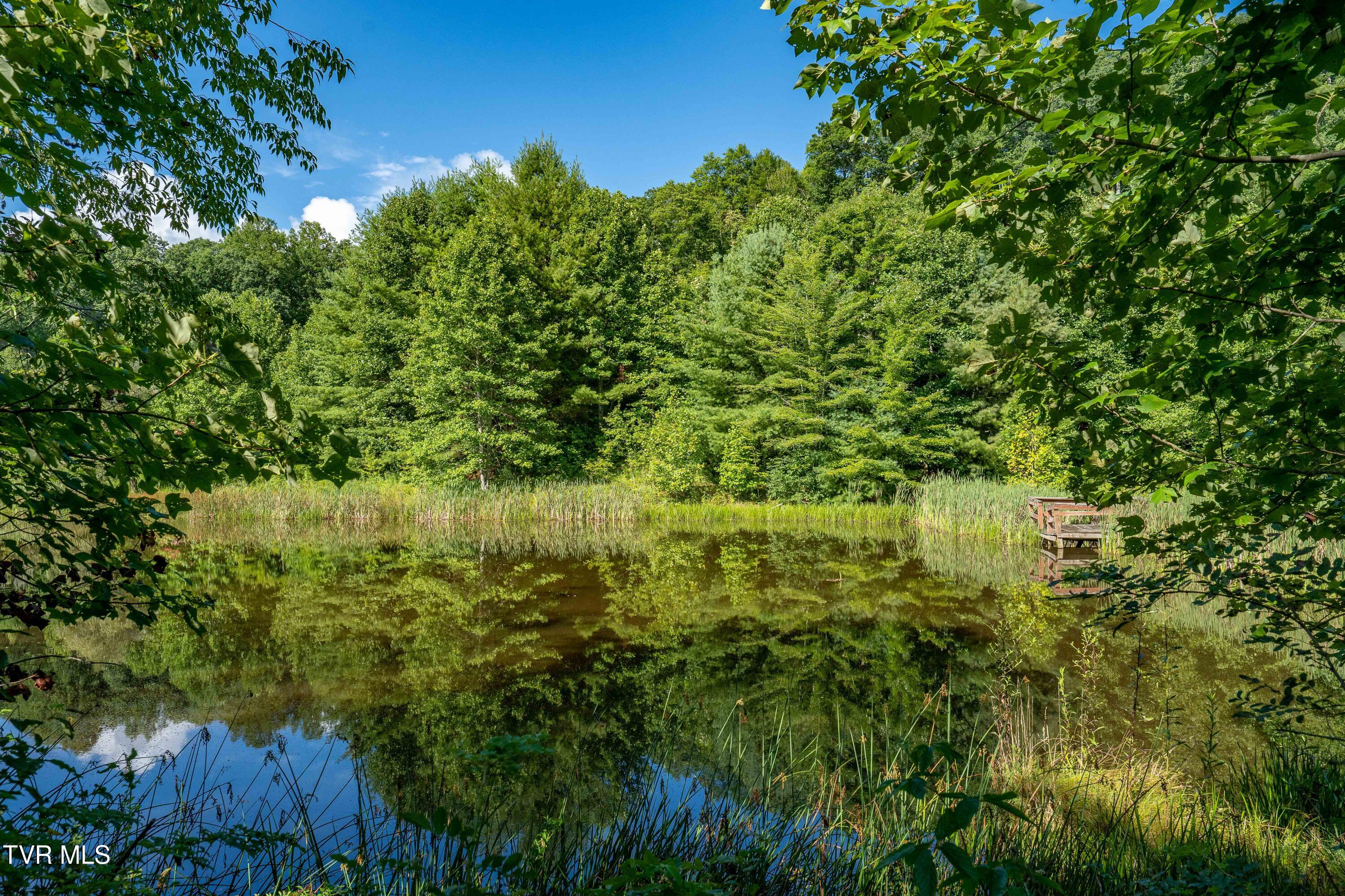 306 Bear Branch Road Roan Mountain, TN 37687 - Photo 22 of 53 306 Bear Branch Road (70 of 93)
