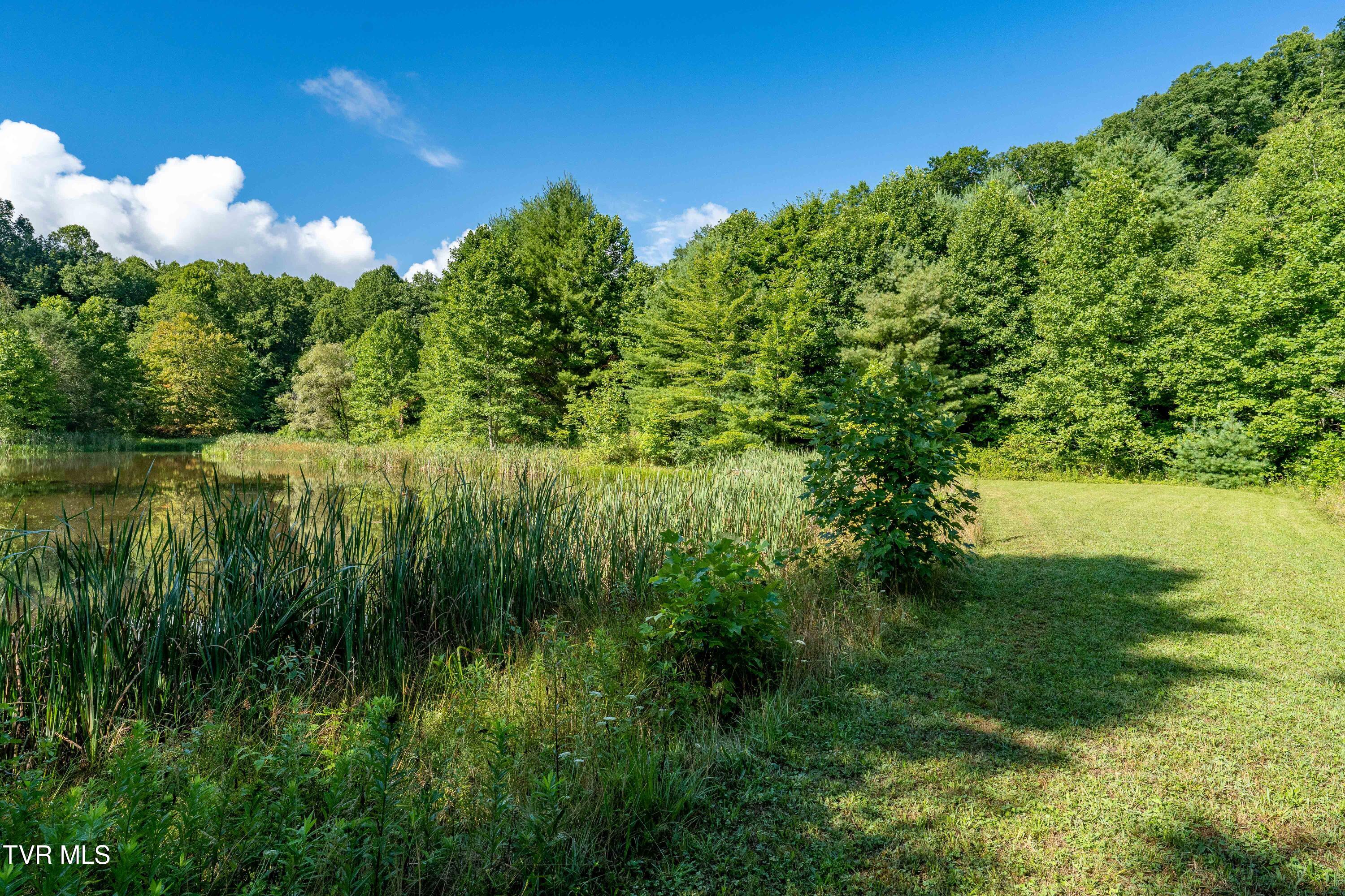 306 Bear Branch Road Roan Mountain, TN 37687 - Photo 23 of 53 306 Bear Branch Road (71 of 93)