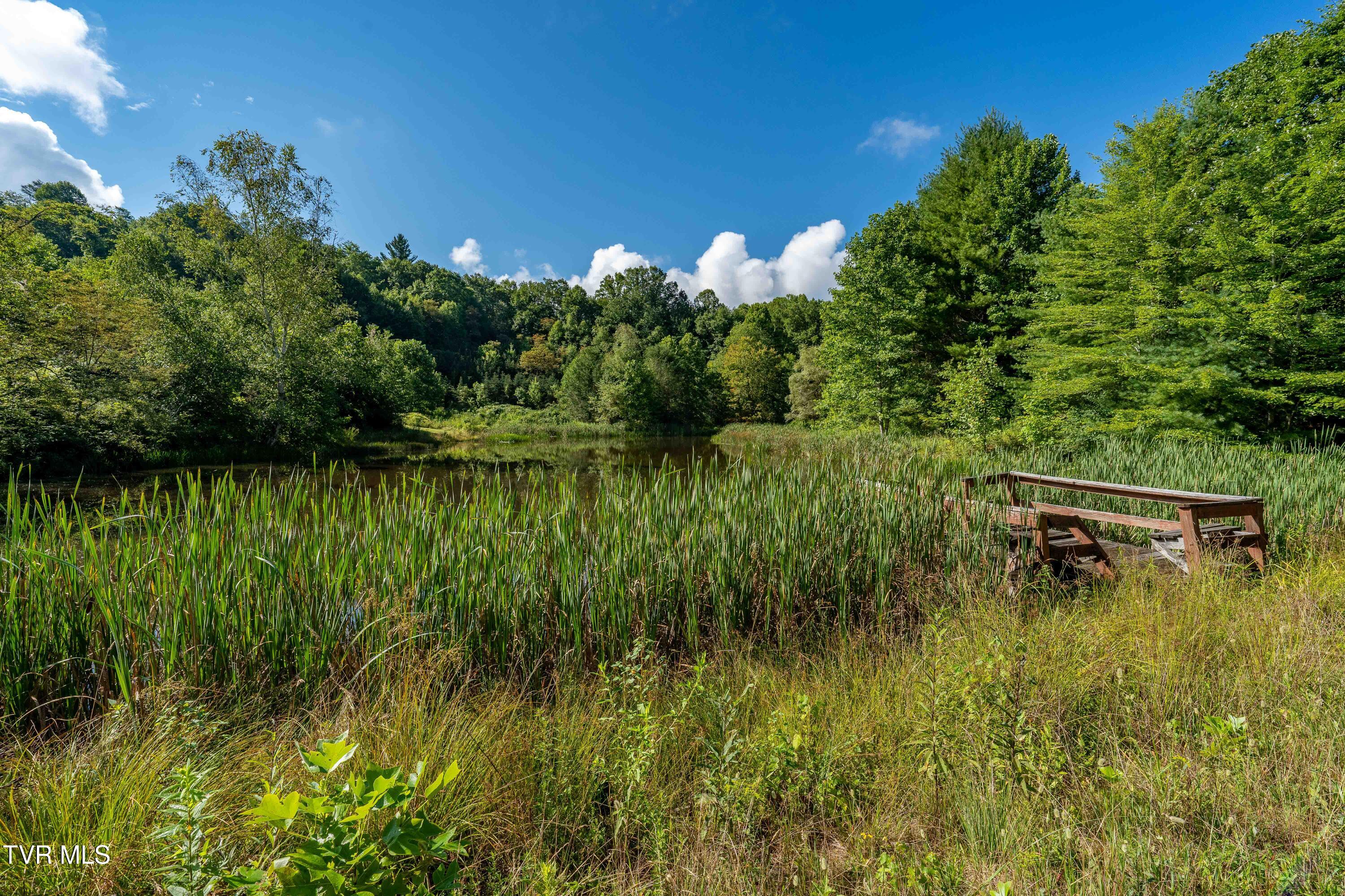 306 Bear Branch Road Roan Mountain, TN 37687 - Photo 24 of 53 306 Bear Branch Road (72 of 93)