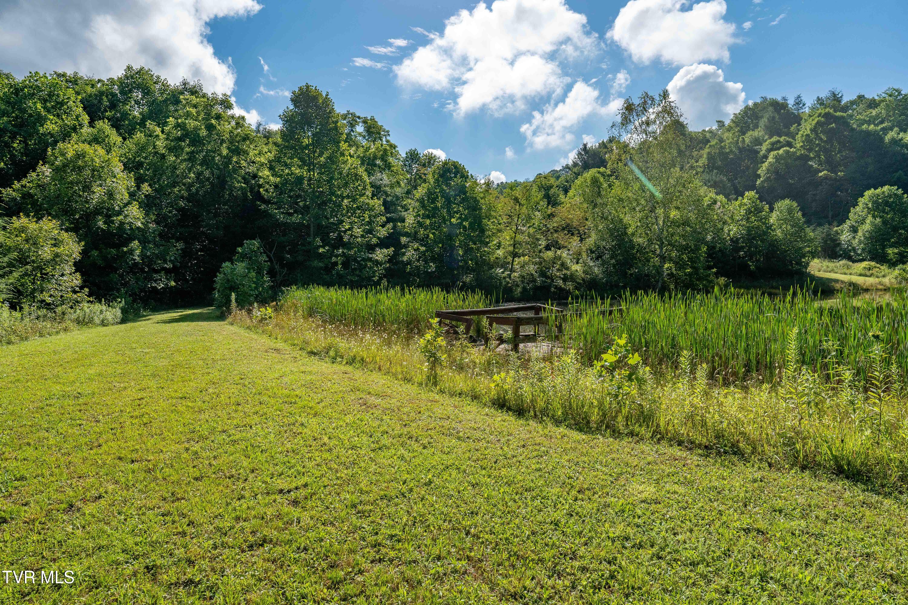 306 Bear Branch Road Roan Mountain, TN 37687 - Photo 26 of 53 306 Bear Branch Road (74 of 93)