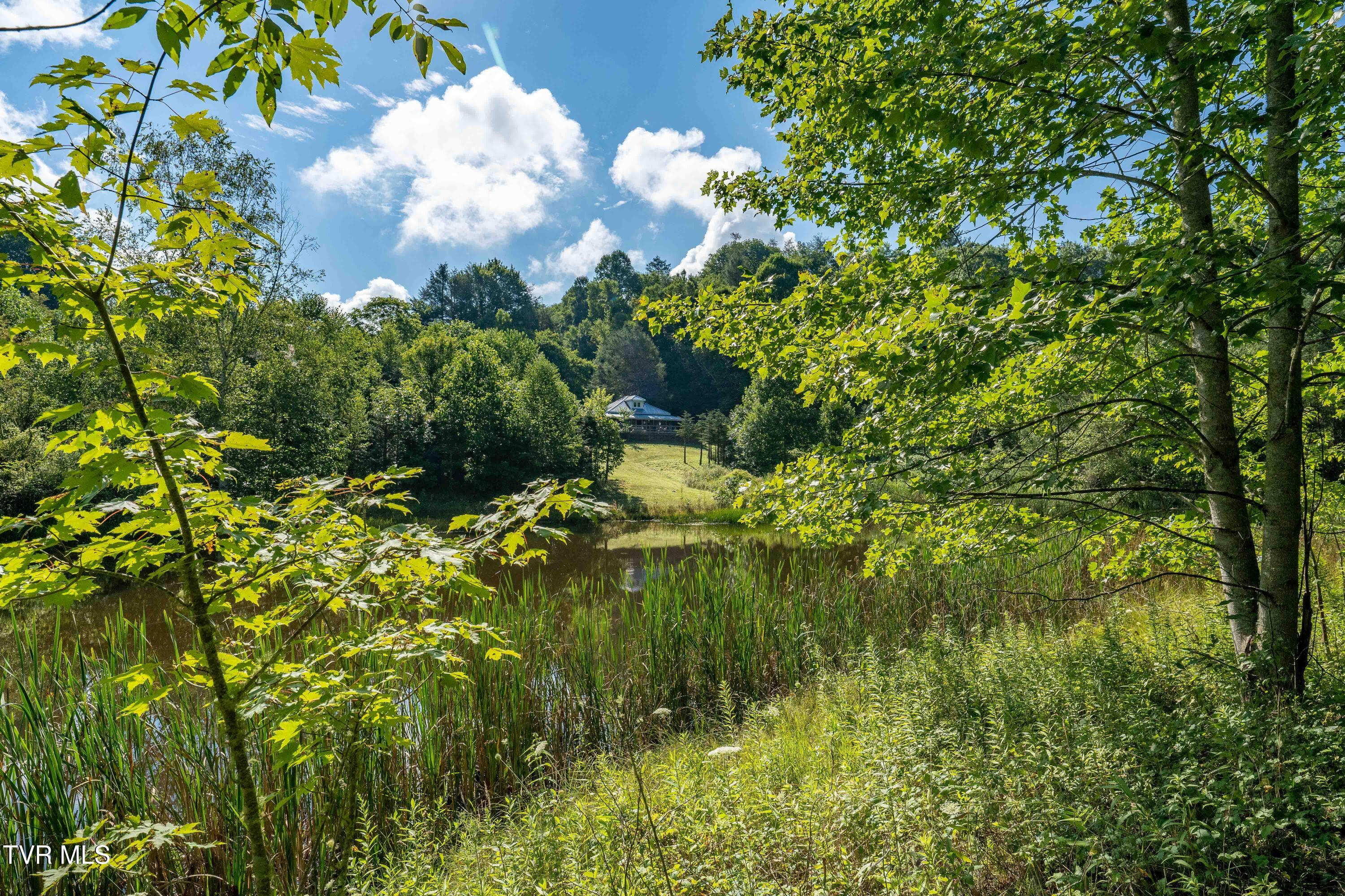 306 Bear Branch Road Roan Mountain, TN 37687 - Photo 27 of 53 306 Bear Branch Road (75 of 93)