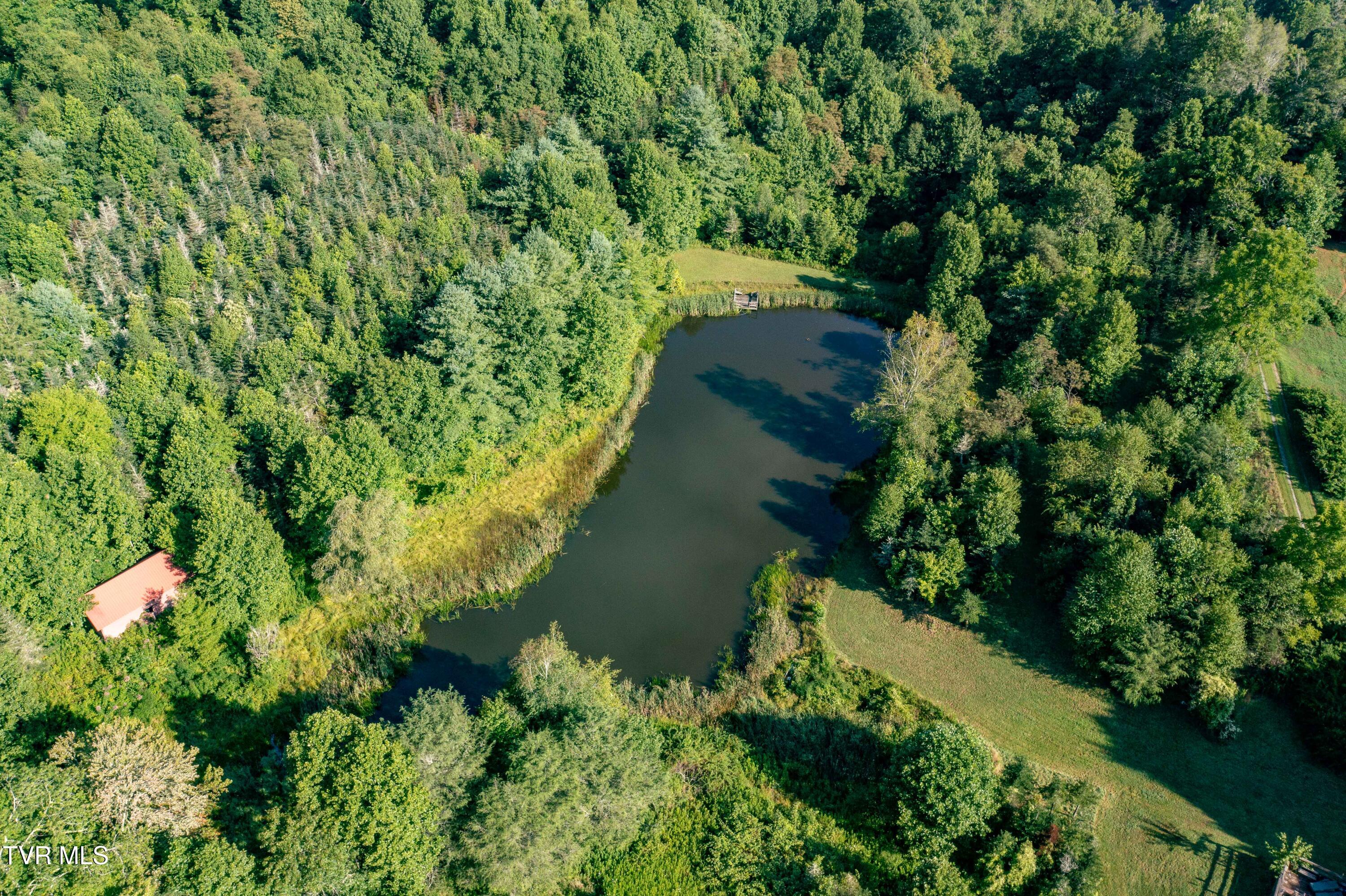 306 Bear Branch Road Roan Mountain, TN 37687 - Photo 29 of 53 306 Bear Branch Road (21 of 93)