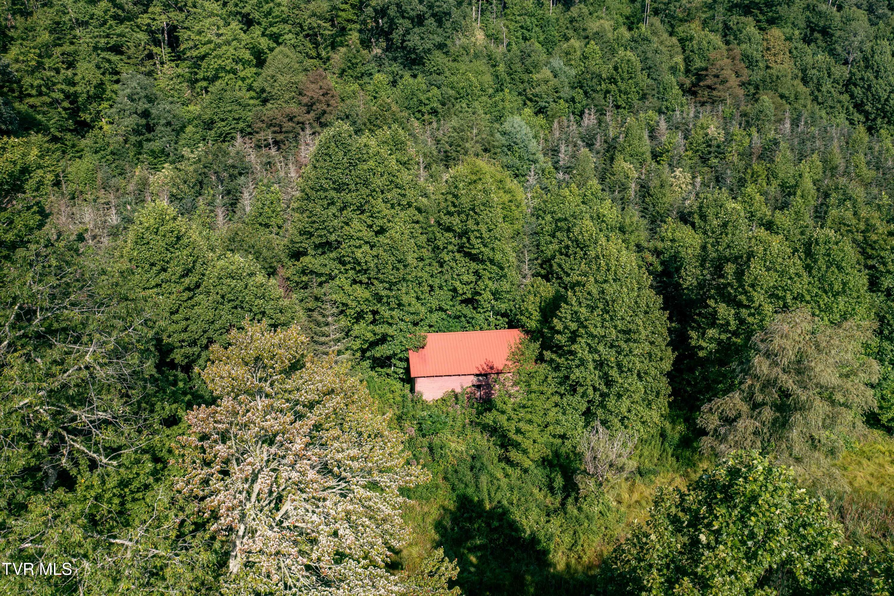 306 Bear Branch Road Roan Mountain, TN 37687 - Photo 35 of 53 306 Bear Branch Road (30 of 93)