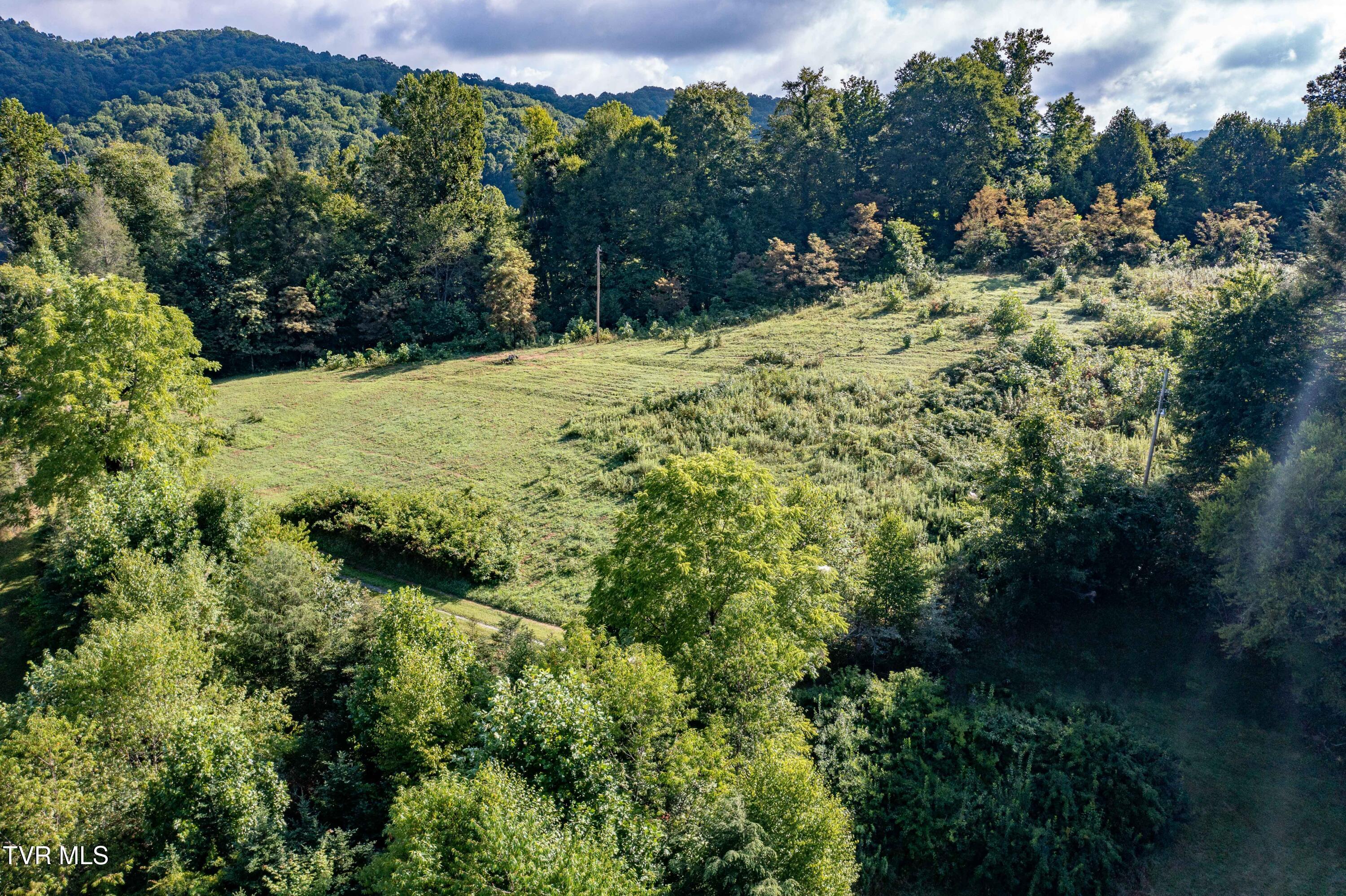 306 Bear Branch Road Roan Mountain, TN 37687 - Photo 37 of 53 306 Bear Branch Road (32 of 93)