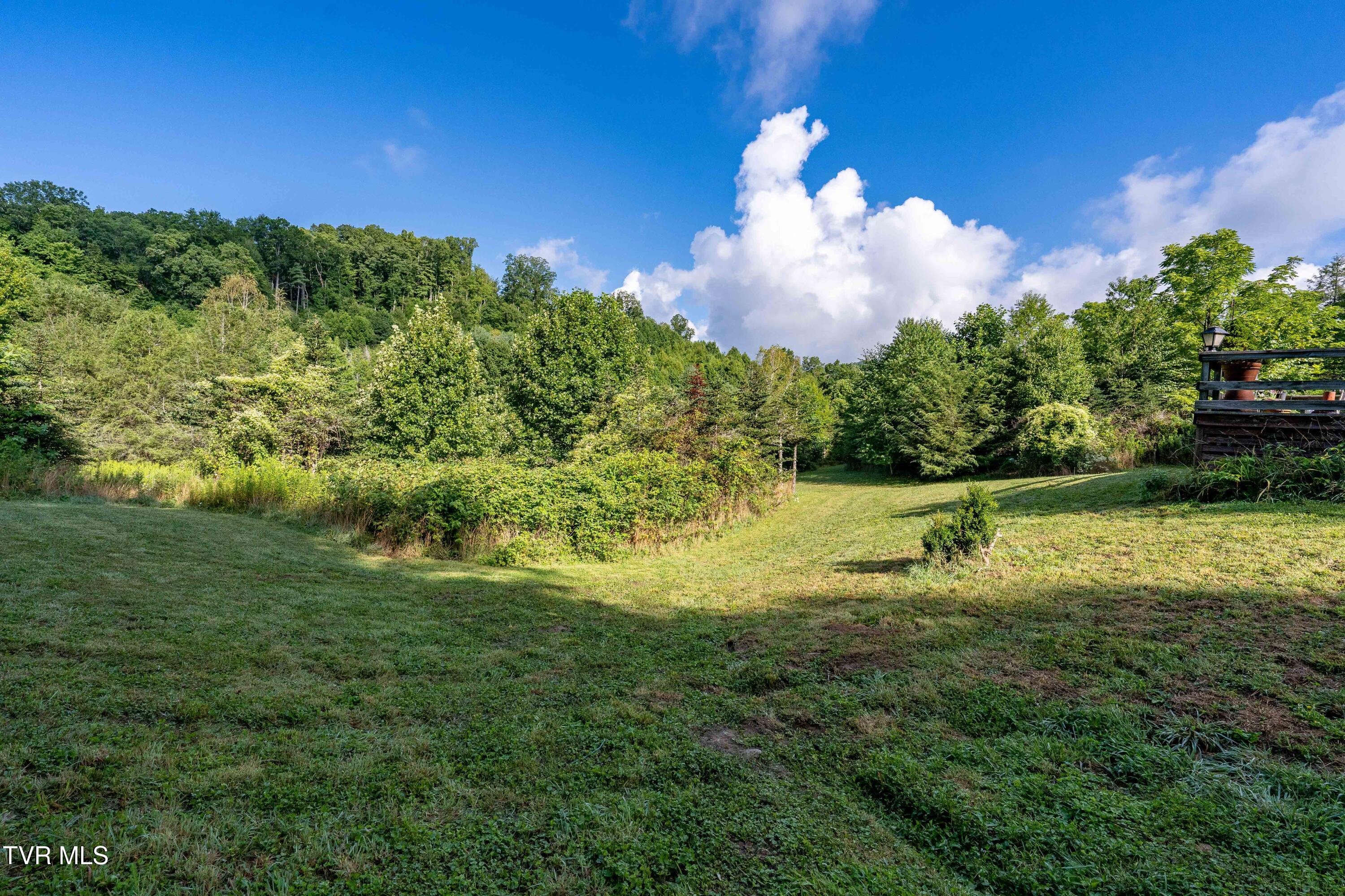 306 Bear Branch Road Roan Mountain, TN 37687 - Photo 40 of 53 306 Bear Branch Road (41 of 93)