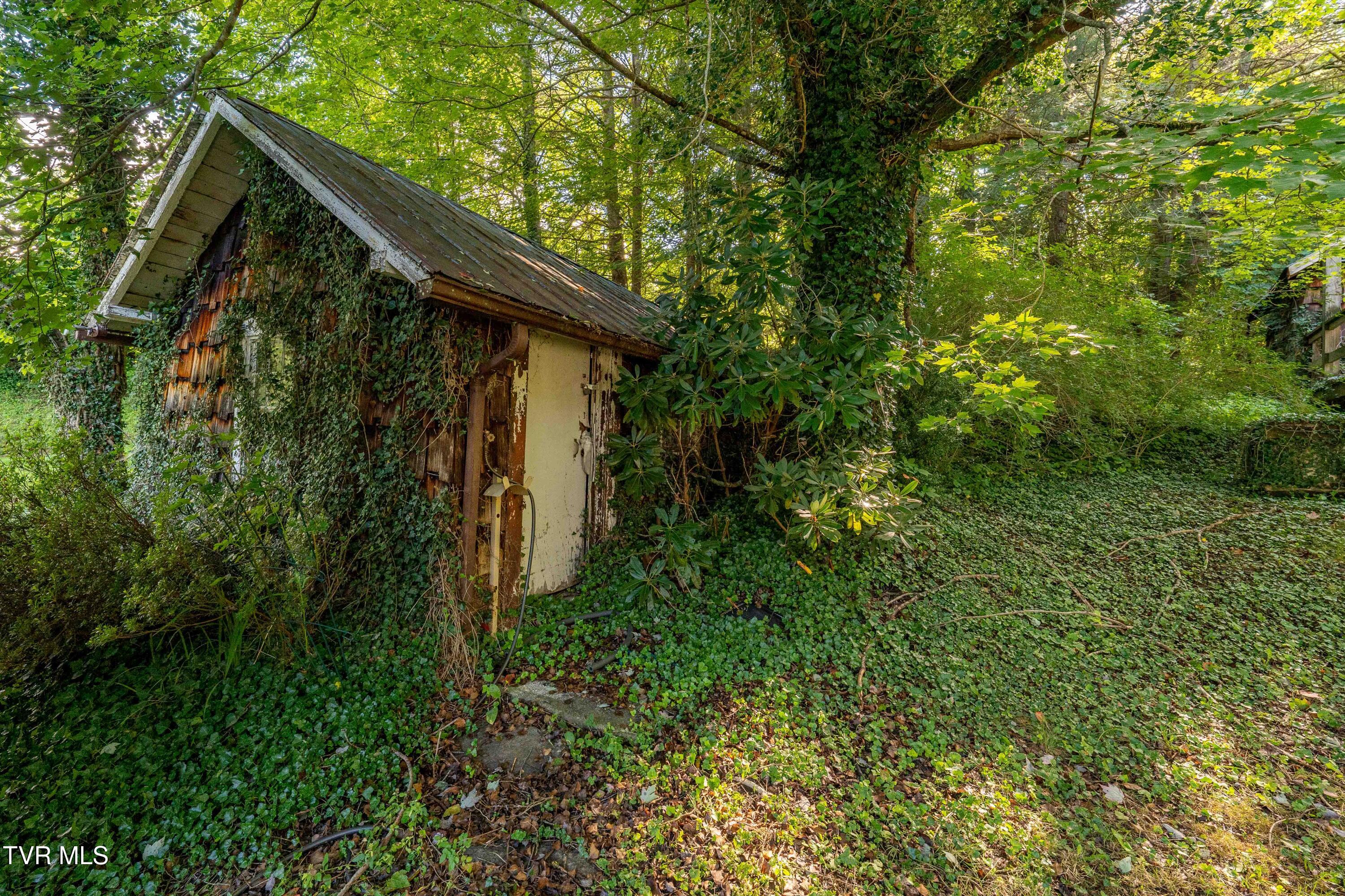306 Bear Branch Road Roan Mountain, TN 37687 - Photo 41 of 53 306 Bear Branch Road (44 of 93)