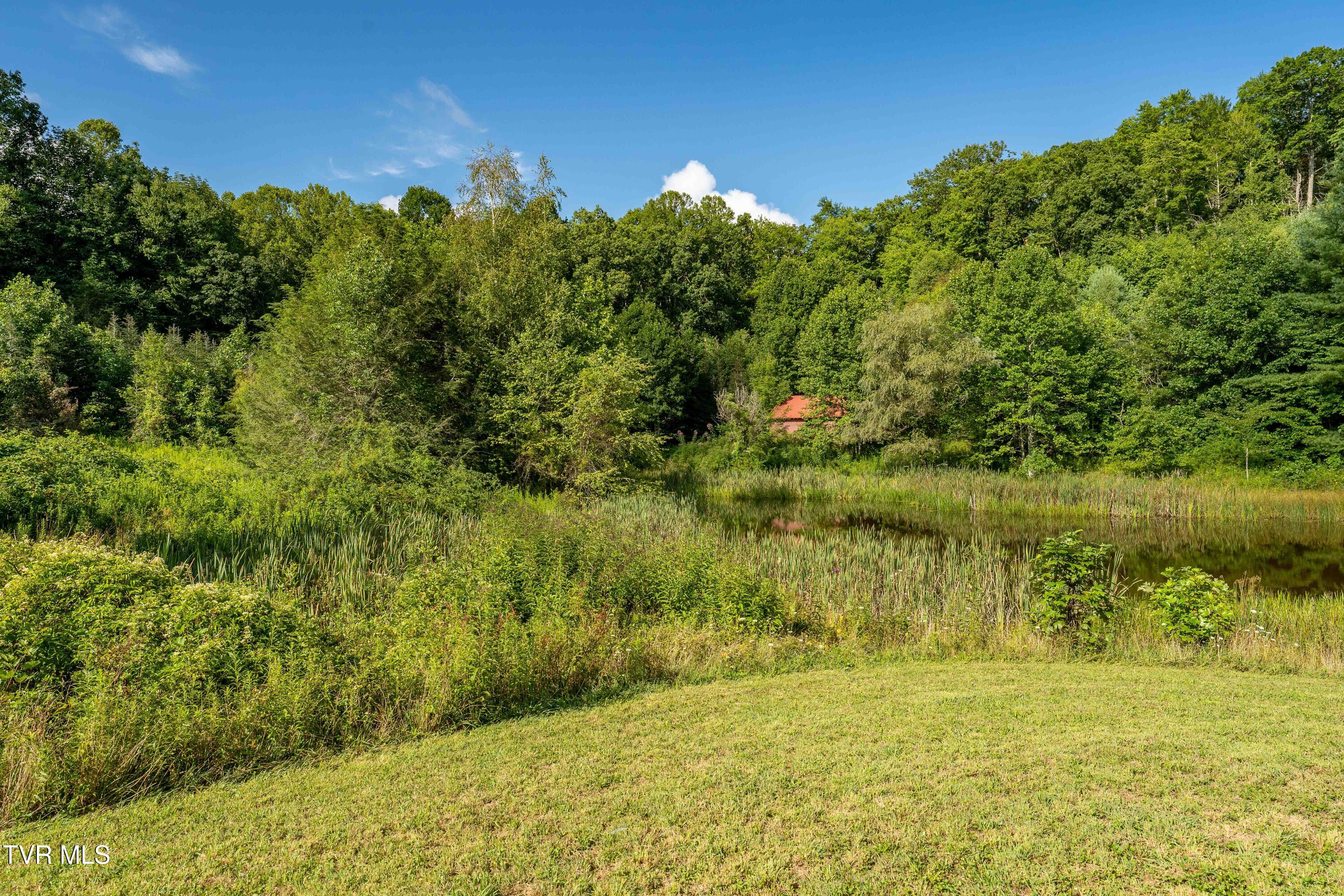 306 Bear Branch Road Roan Mountain, TN 37687 - Photo 47 of 53 306 Bear Branch Road (62 of 93)
