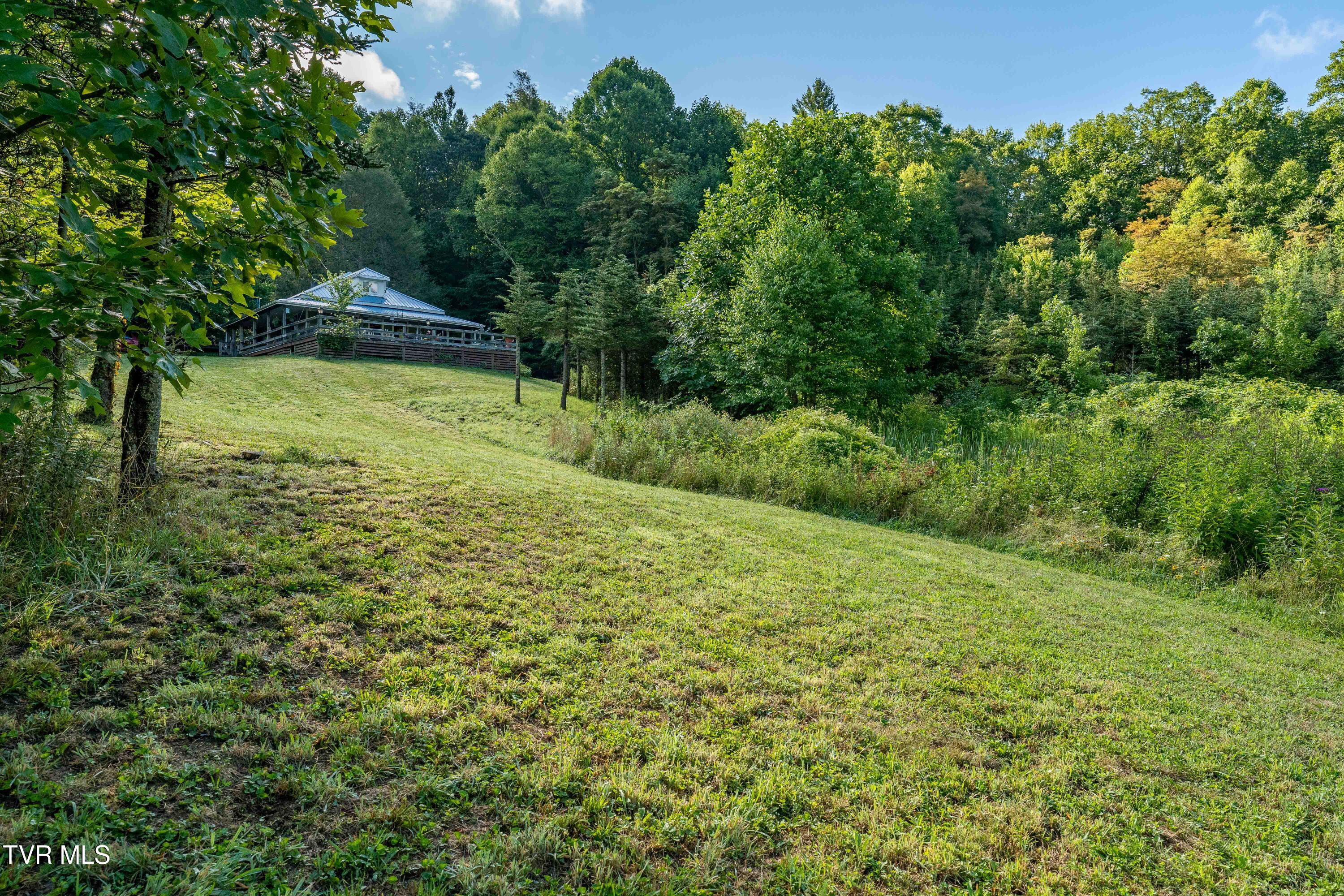 306 Bear Branch Road Roan Mountain, TN 37687 - Photo 52 of 53 306 Bear Branch Road (67 of 93)